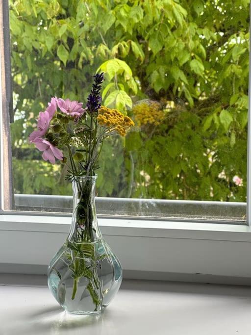 Aupres De Mon Arbre Apartment Pontmain ภายนอก รูปภาพ